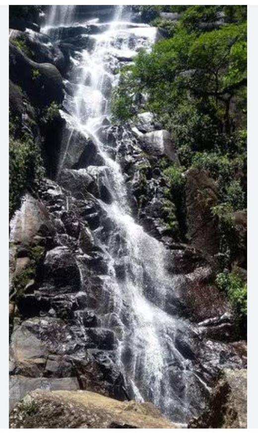 Suite Ninho Do Sabia Ilhabela Exterior photo